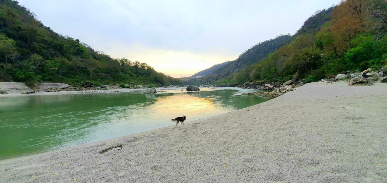 Divine Ganga Cottage Rishīkesh Dış mekan fotoğraf